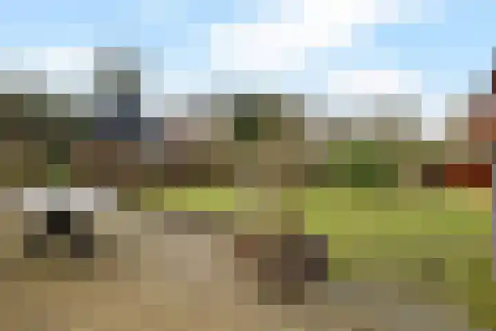 Irenelaan 1 Oosterhesselen thumbnail 50
