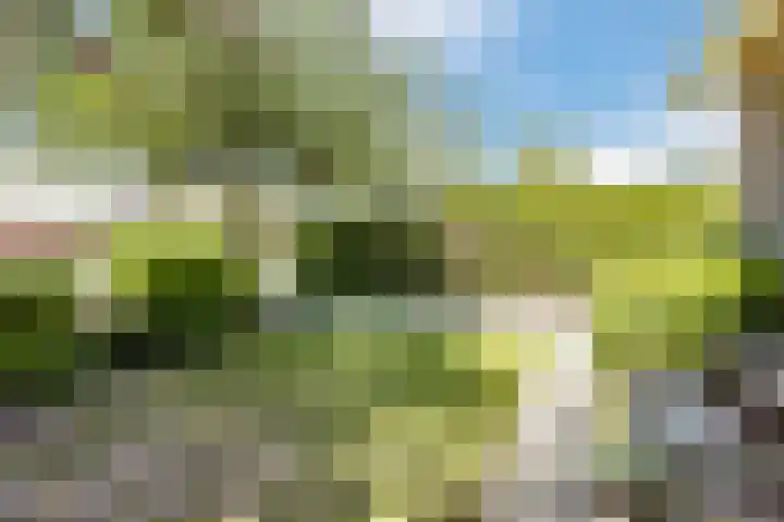 Irenelaan 1 Oosterhesselen thumbnail 51