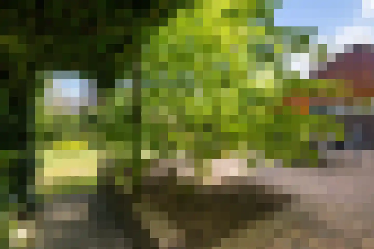 Irenelaan 1 Oosterhesselen thumbnail 52