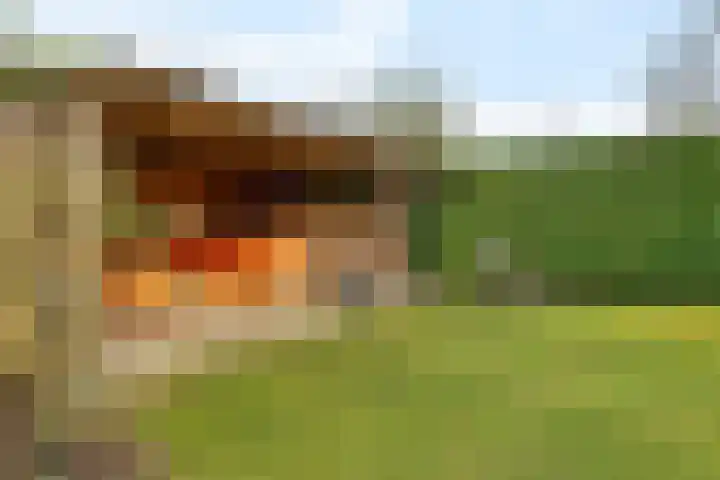Irenelaan 1 Oosterhesselen thumbnail 53
