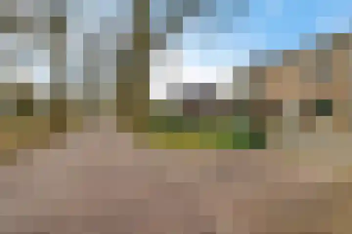 Irenelaan 1 Oosterhesselen thumbnail 56