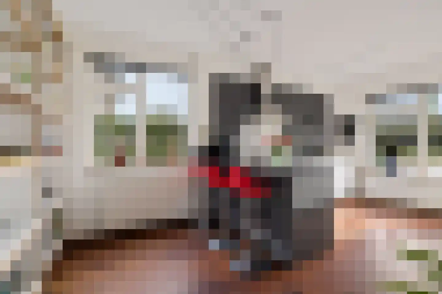 Irenelaan 1 Oosterhesselen thumbnail 6