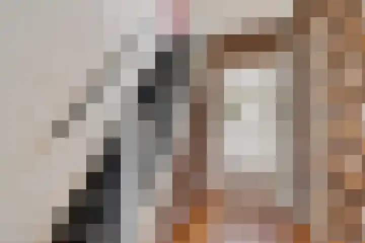 Irenelaan 1 Oosterhesselen thumbnail 7