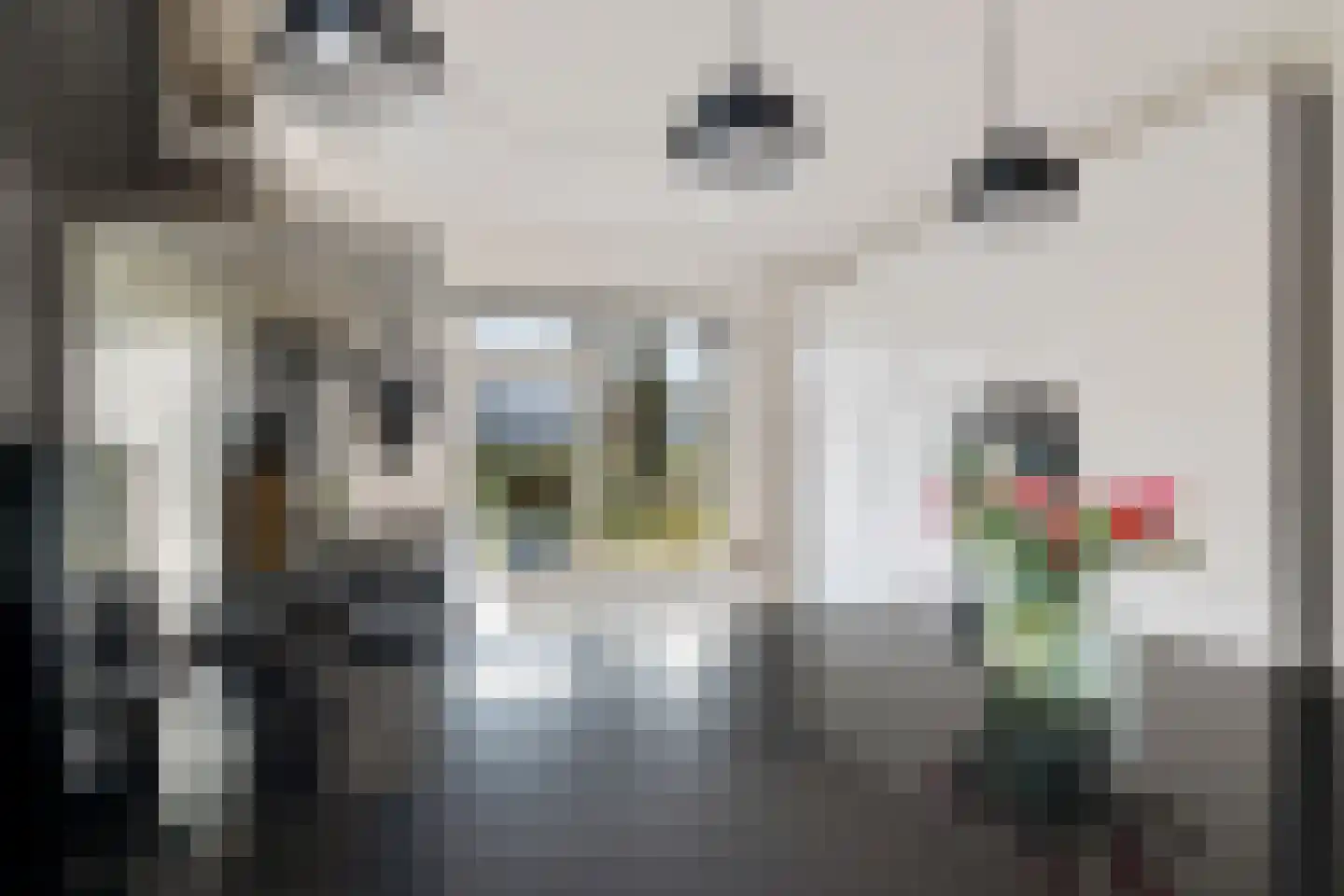 Irenelaan 1 Oosterhesselen thumbnail 8