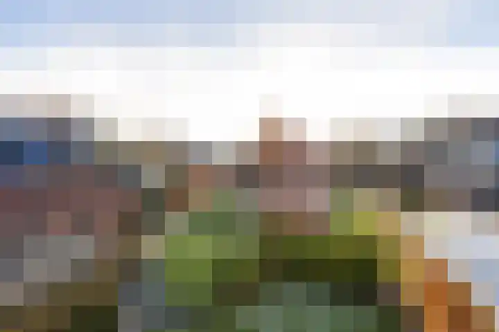 Irenelaan 1 Zuidlaren thumbnail 19