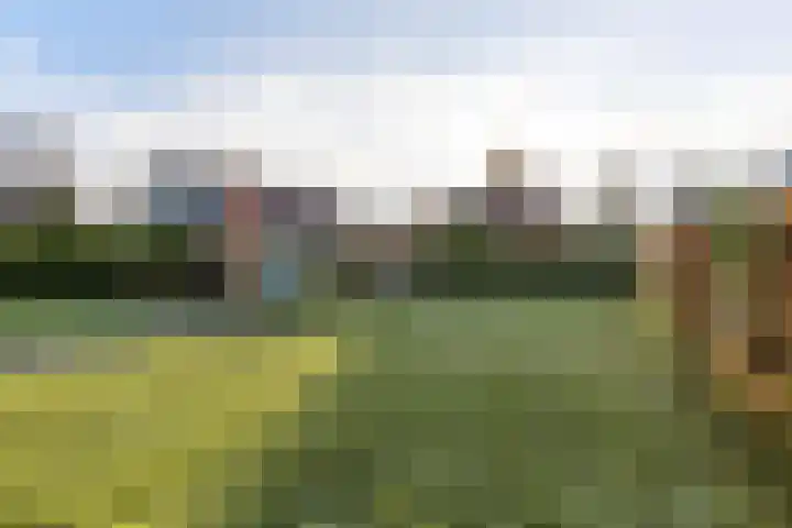 Irenelaan 1 Zuidlaren thumbnail 20