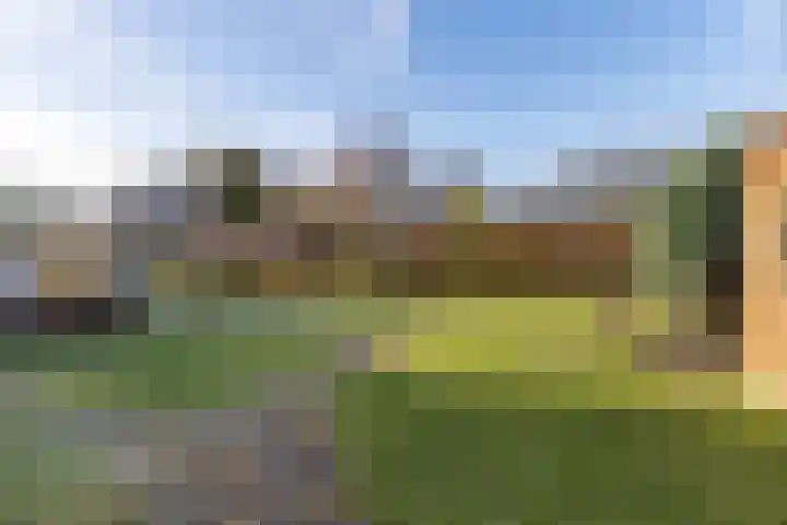 Irenelaan 1 Zuidlaren thumbnail 22