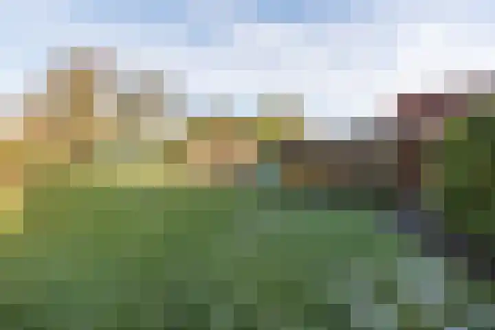 Irenelaan 1 Zuidlaren thumbnail 23