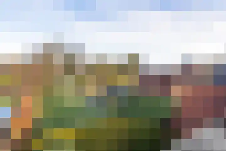 Irenelaan 1 Zuidlaren thumbnail 24
