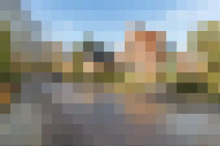 Irenelaan 1 Zuidlaren thumbnail 31