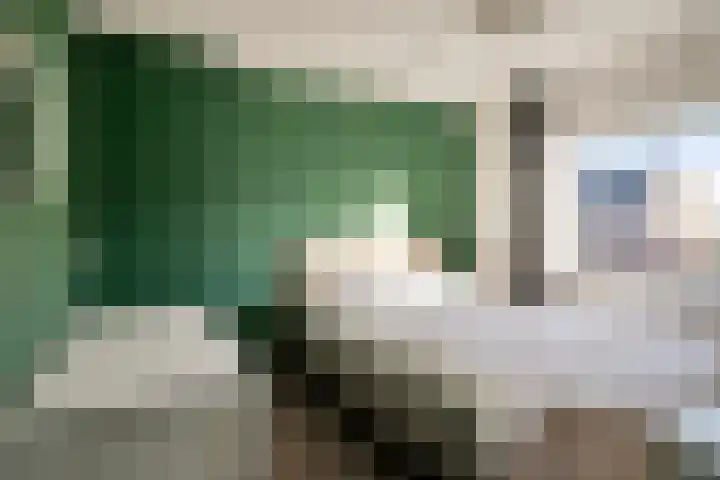 Irenelaan 10 Zuid-Beijerland thumbnail 13