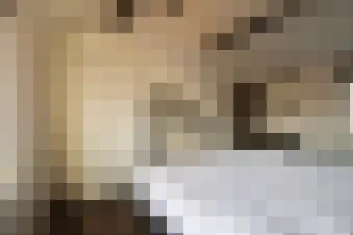 Irenelaan 10 Zuid-Beijerland thumbnail 21