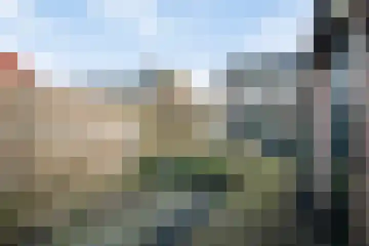 Irenelaan 10 Zuid-Beijerland thumbnail 23