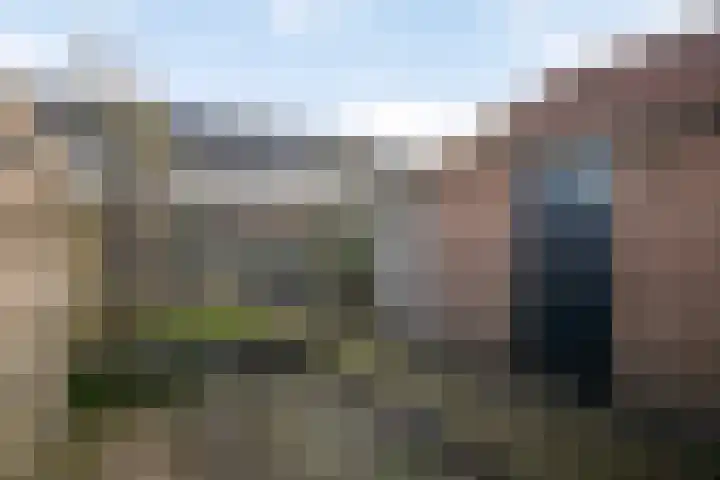 Irenelaan 10 Zuid-Beijerland thumbnail 24