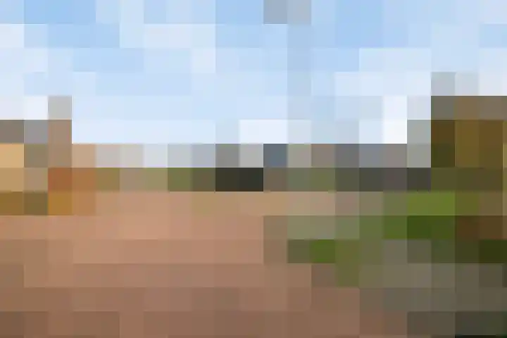 Irenelaan 10 Zuid-Beijerland thumbnail 28