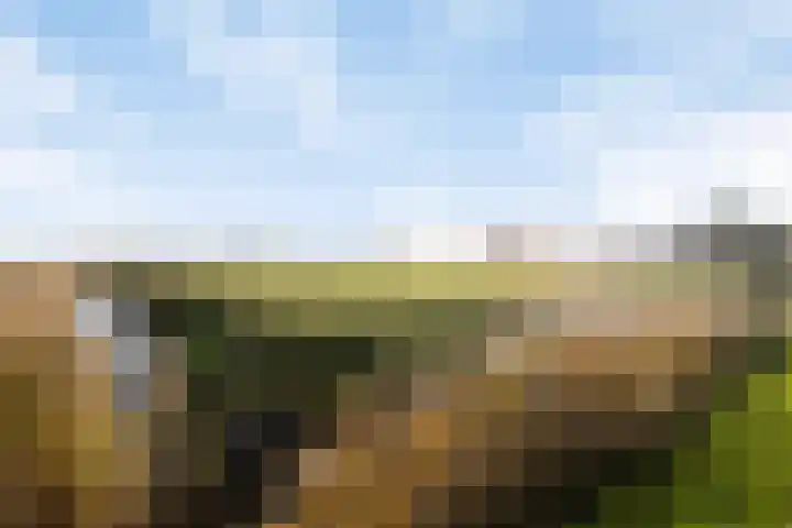 Irenelaan 10 Zuid-Beijerland thumbnail 29