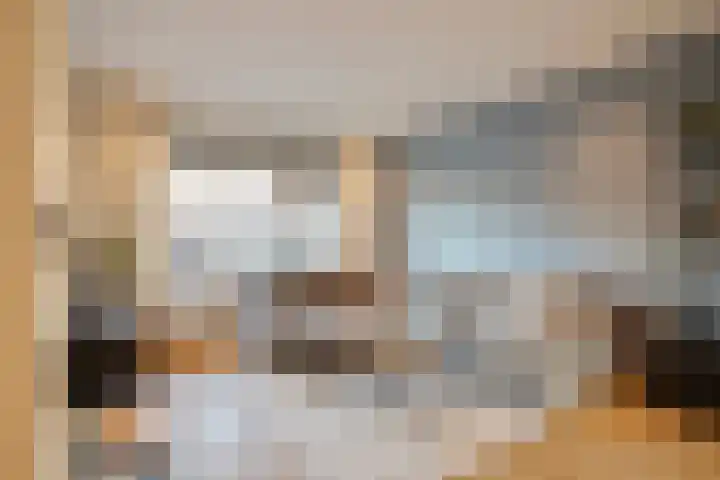 Irenelaan 10 Zuid-Beijerland thumbnail 4