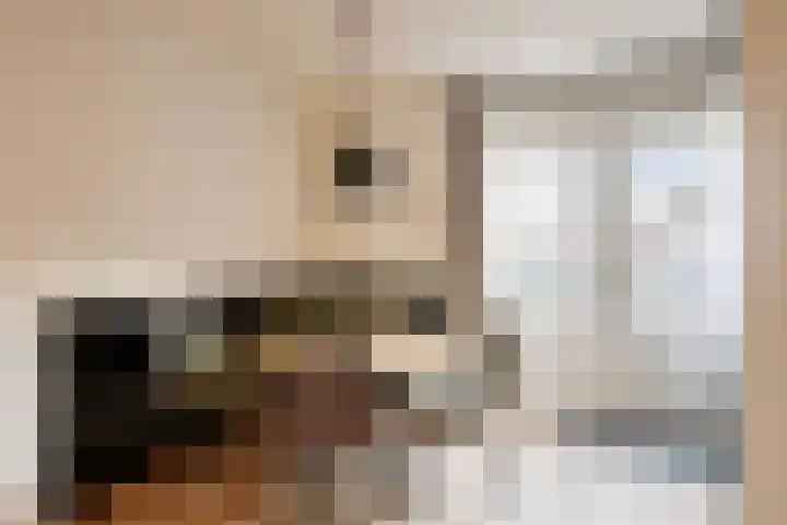Irenelaan 10 Zuid-Beijerland thumbnail 7