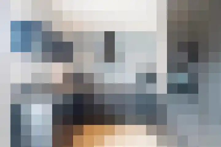 Irenelaan 10 Zuid-Beijerland thumbnail 9