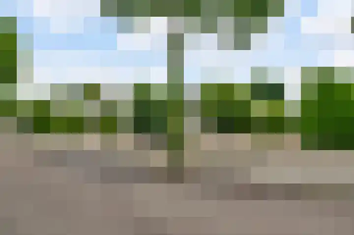 Irenelaan 109 Weert thumbnail 42