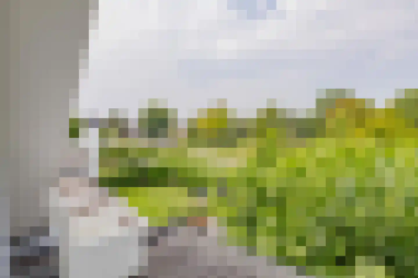Irenelaan 11 Kaag thumbnail 33