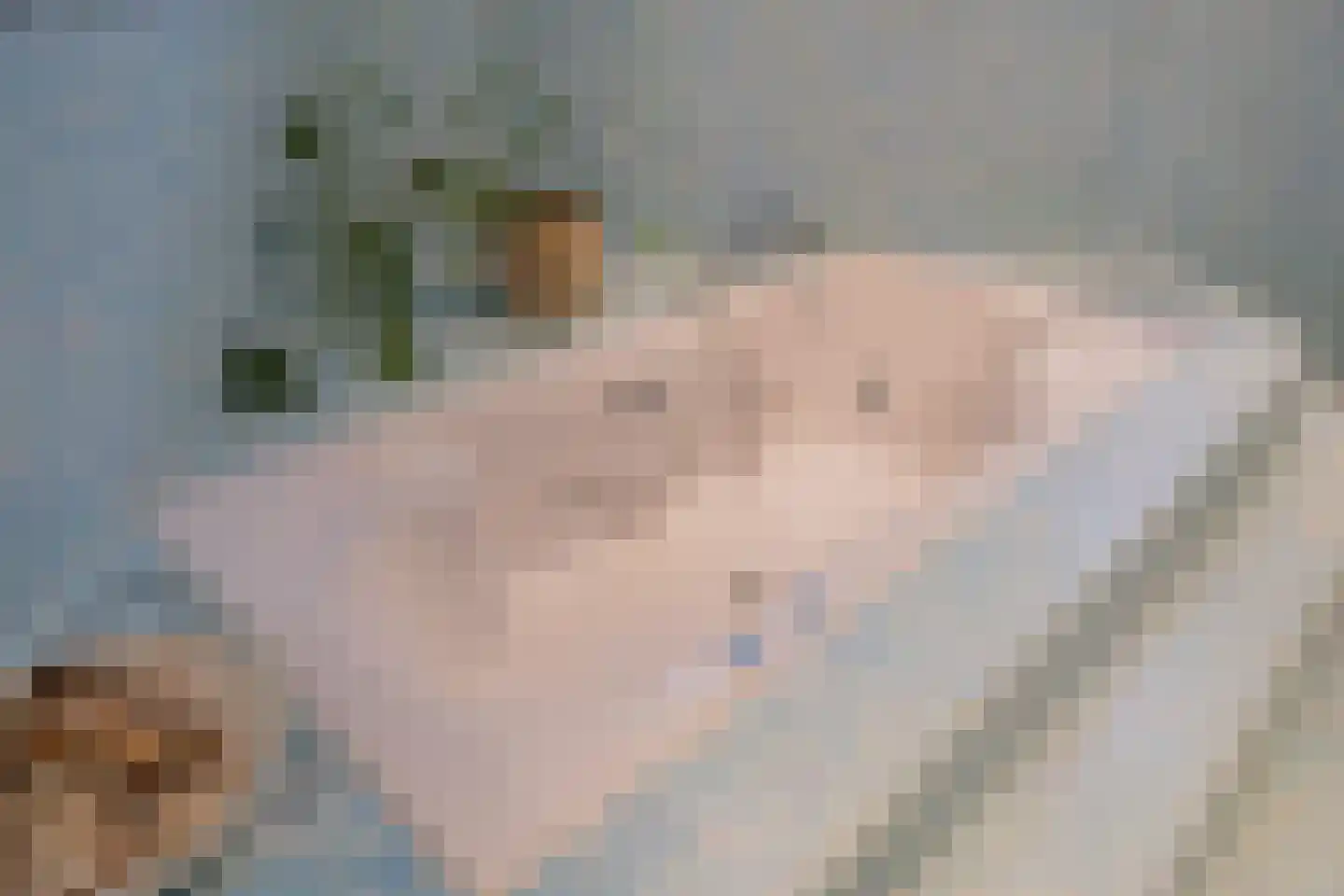 Irenelaan 11 Kaag thumbnail 42