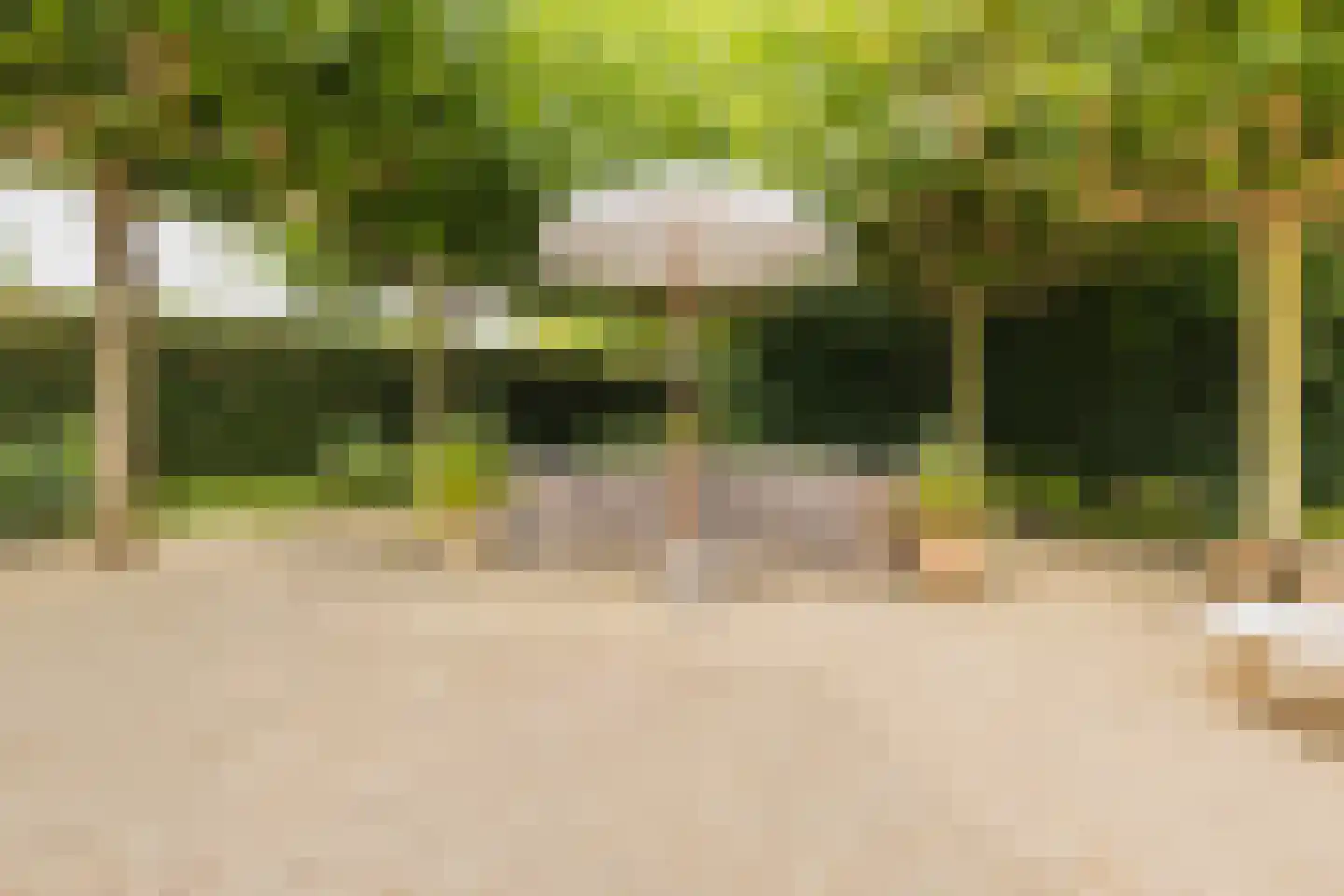 Irenelaan 11 Kaag thumbnail 5