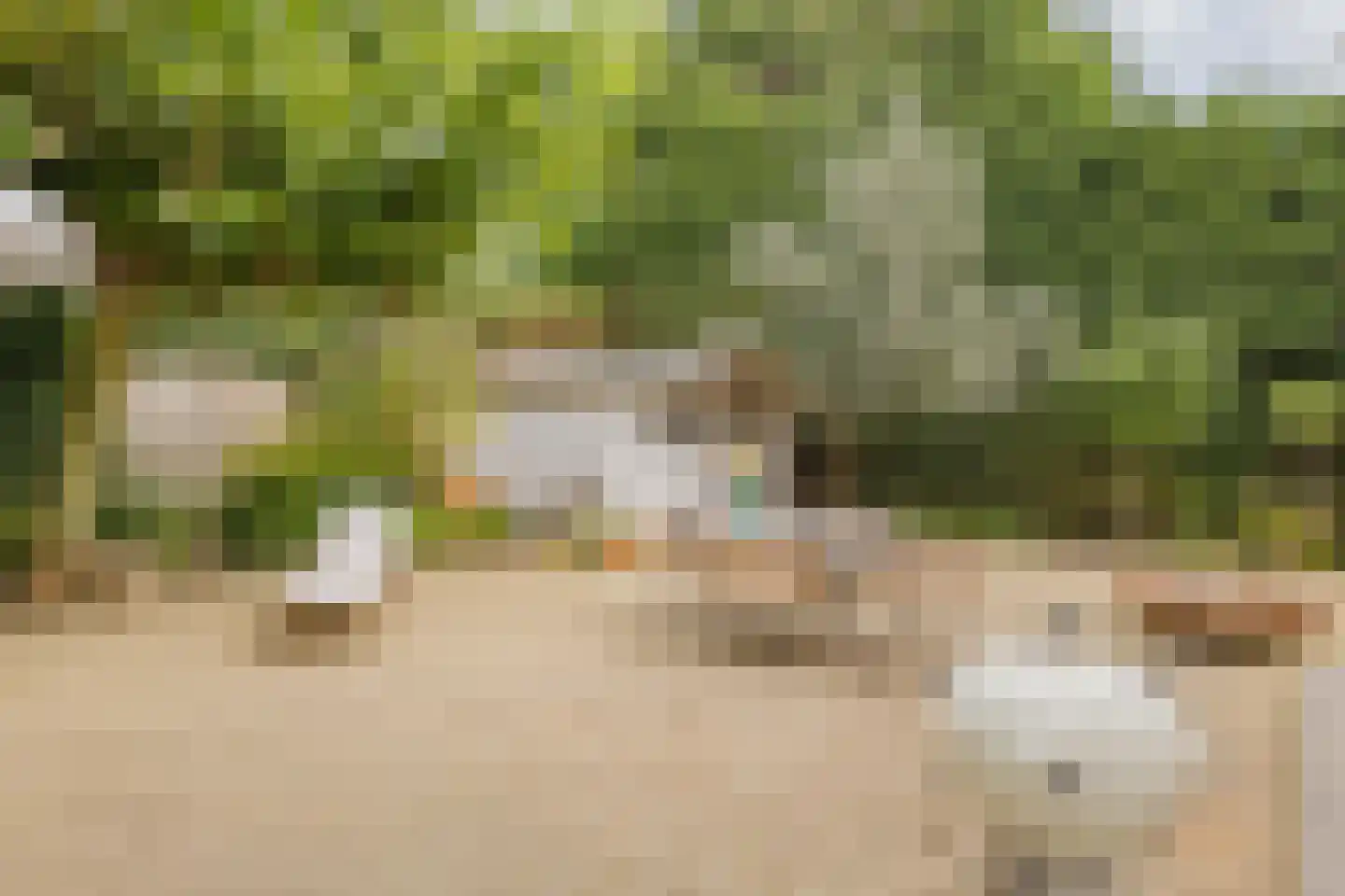 Irenelaan 11 Kaag thumbnail 55