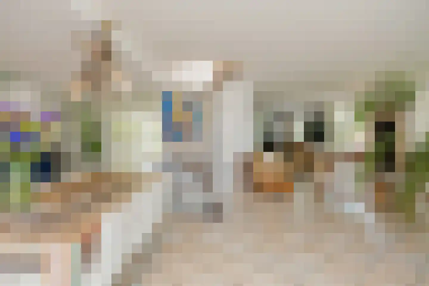 Irenelaan 11 Kaag thumbnail 8