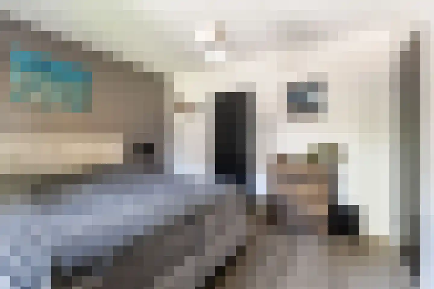 Irenelaan 12 A Putten thumbnail 38