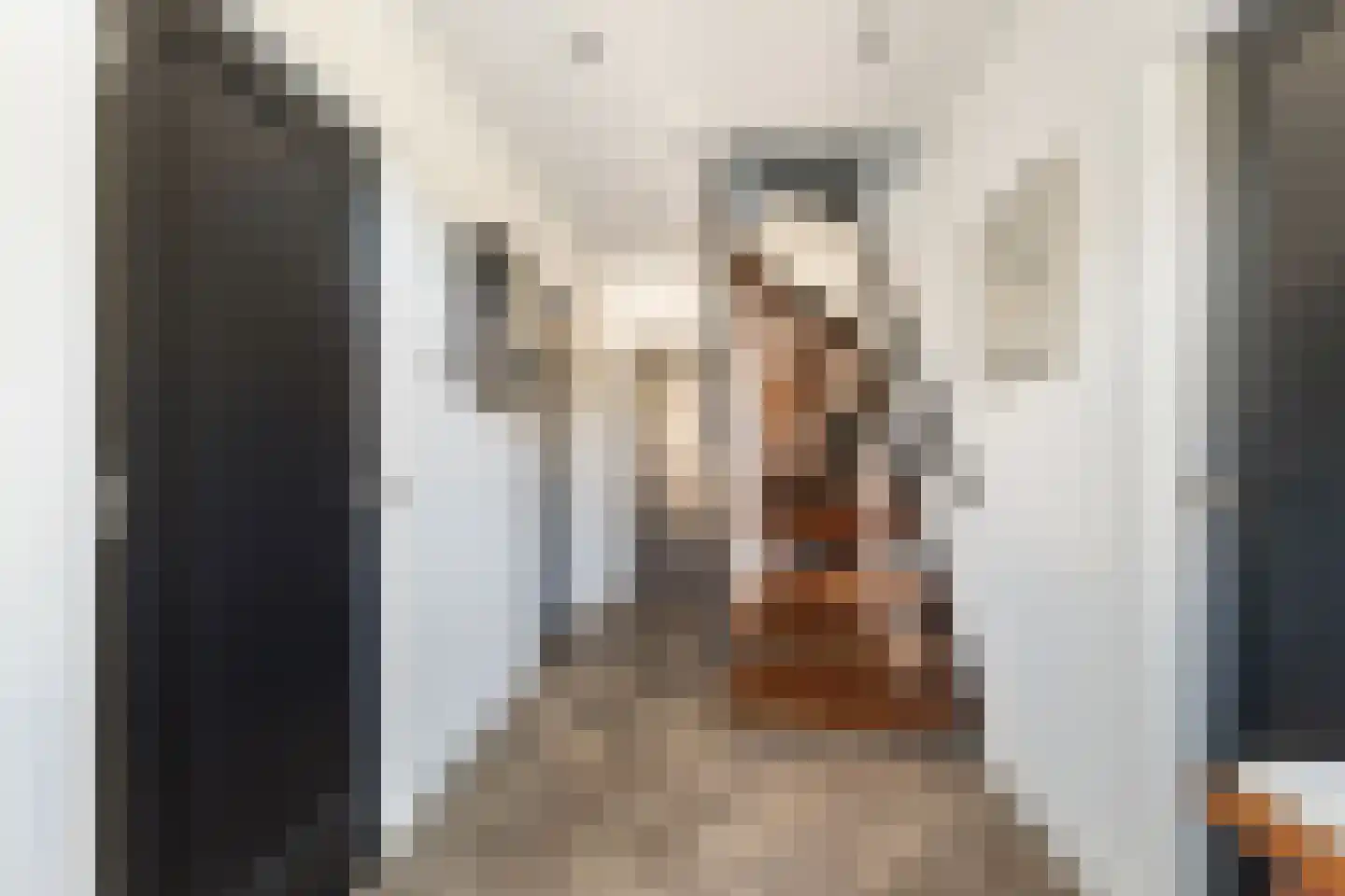 Irenelaan 12 A Putten thumbnail 42