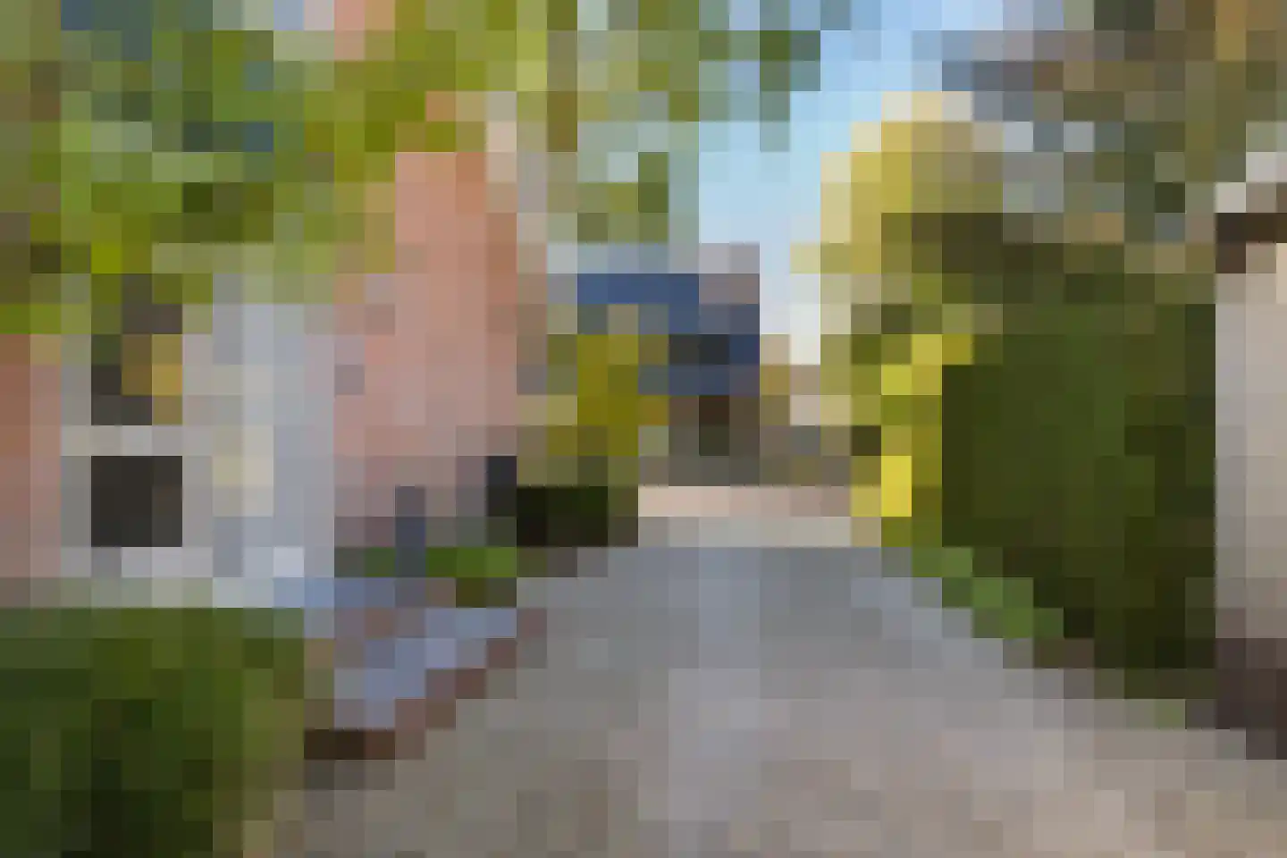 Irenelaan 12 A Putten thumbnail 65