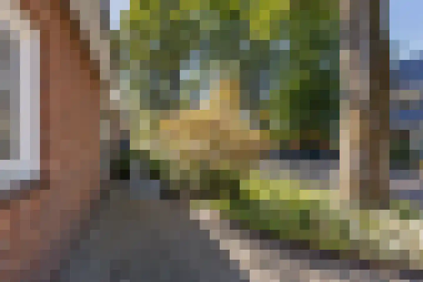 Irenelaan 12 A Putten thumbnail 68