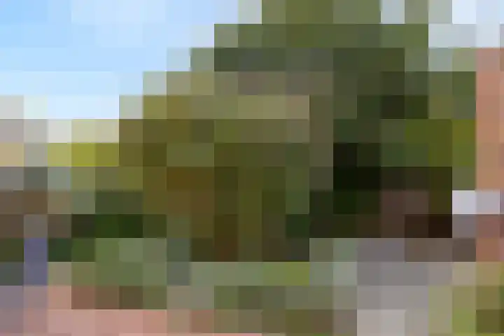 Irenelaan 12 Weert thumbnail 27