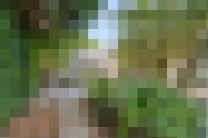 Irenelaan 12 Weert thumbnail 28