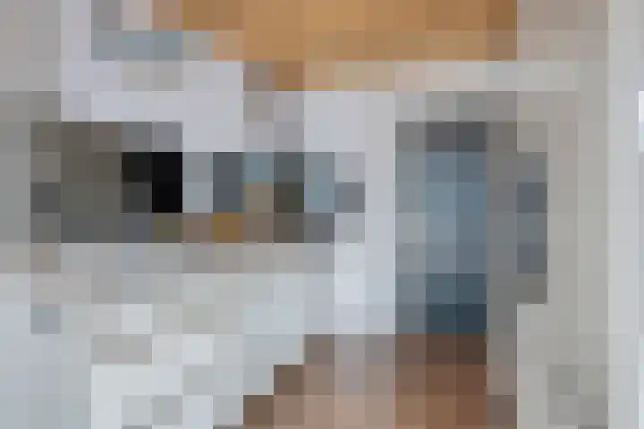 Irenelaan 12 Weert thumbnail 8