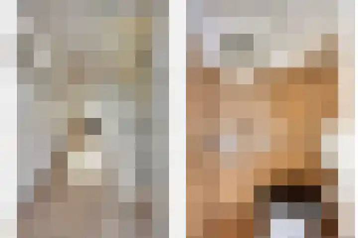 Irenelaan 17 Beusichem thumbnail 17