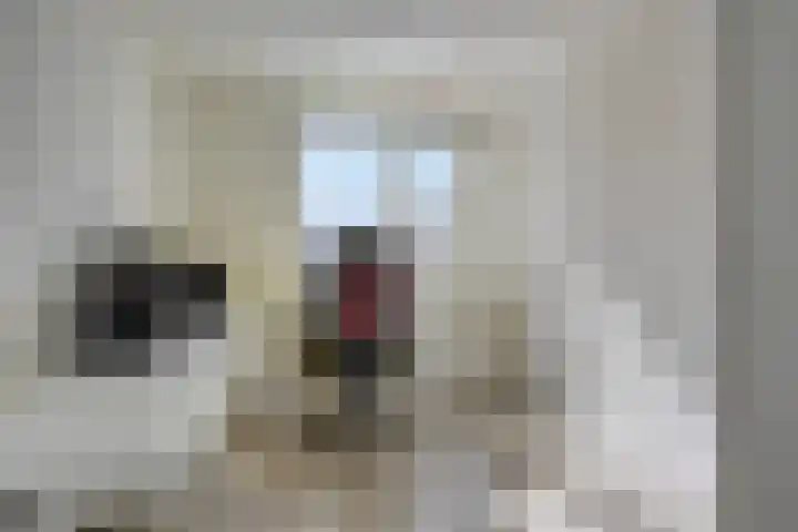 Irenelaan 17 Beusichem thumbnail 22
