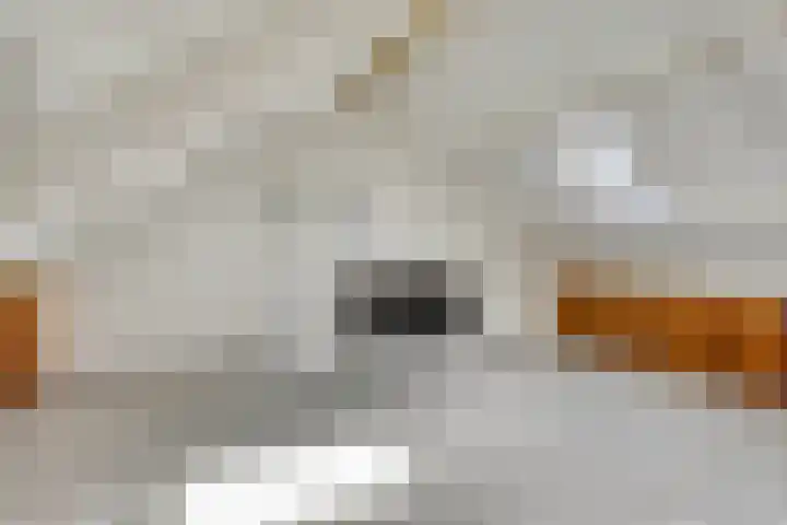 Irenelaan 17 Beusichem thumbnail 27