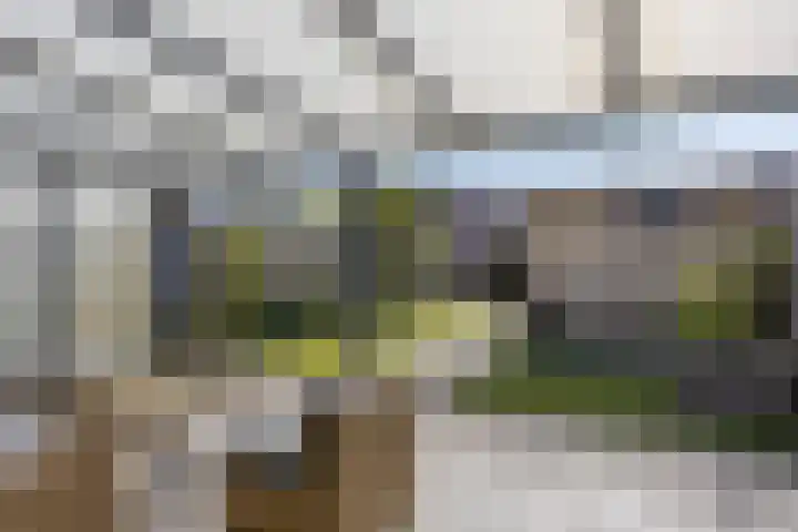 Irenelaan 17 Beusichem thumbnail 29