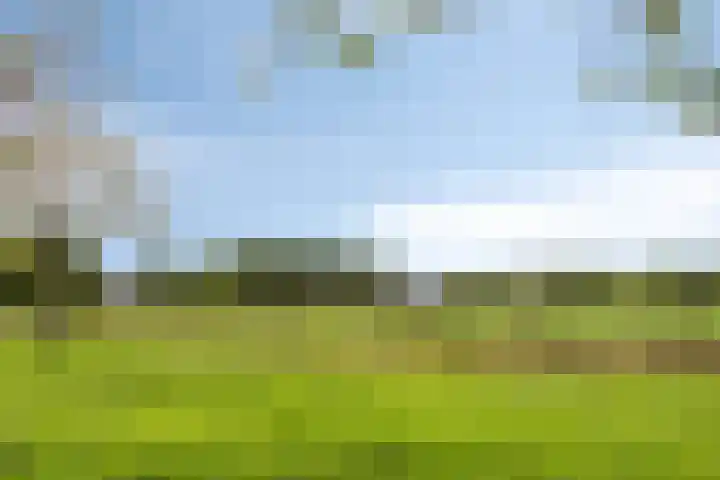Irenelaan 17 Beusichem thumbnail 33