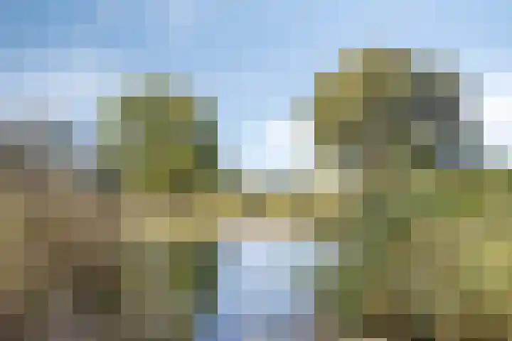 Irenelaan 17 Beusichem thumbnail 34