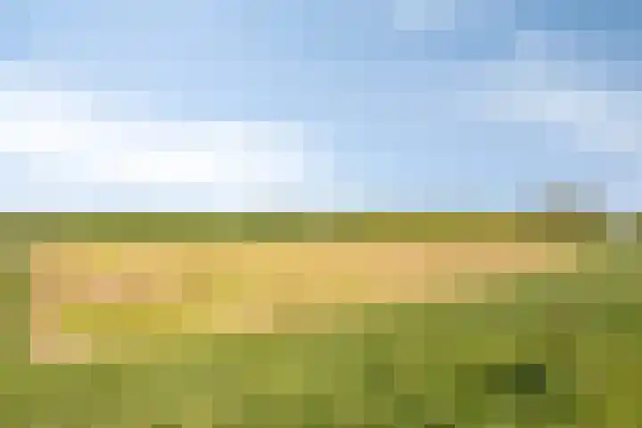 Irenelaan 17 Beusichem thumbnail 35