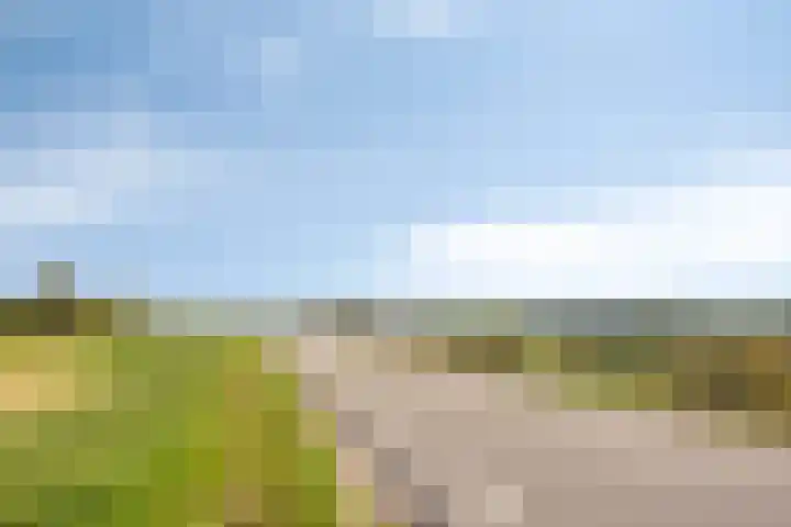 Irenelaan 17 Beusichem thumbnail 36