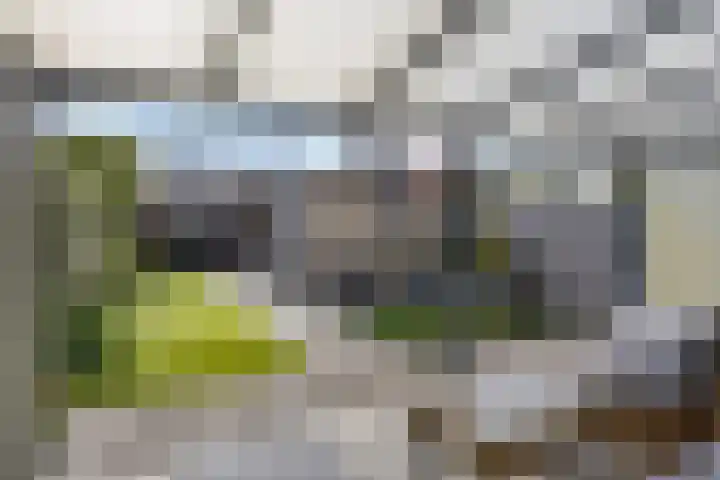 Irenelaan 17 Beusichem thumbnail 5