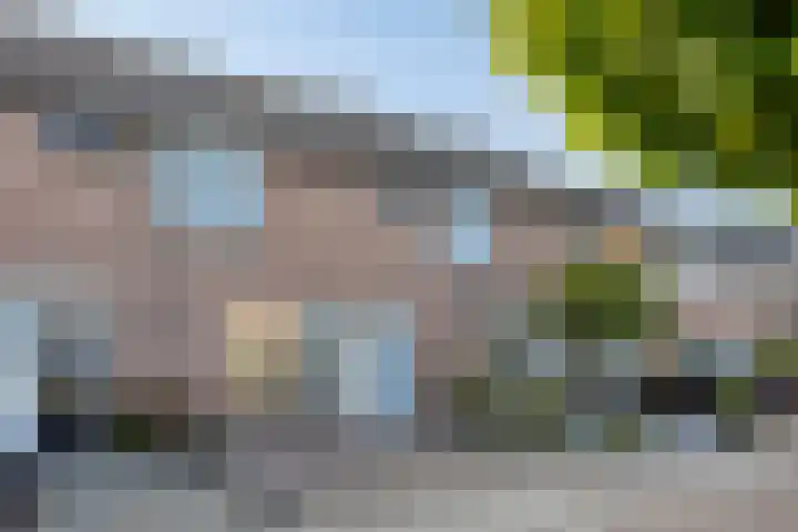 Irenelaan 17 Beusichem thumbnail 7