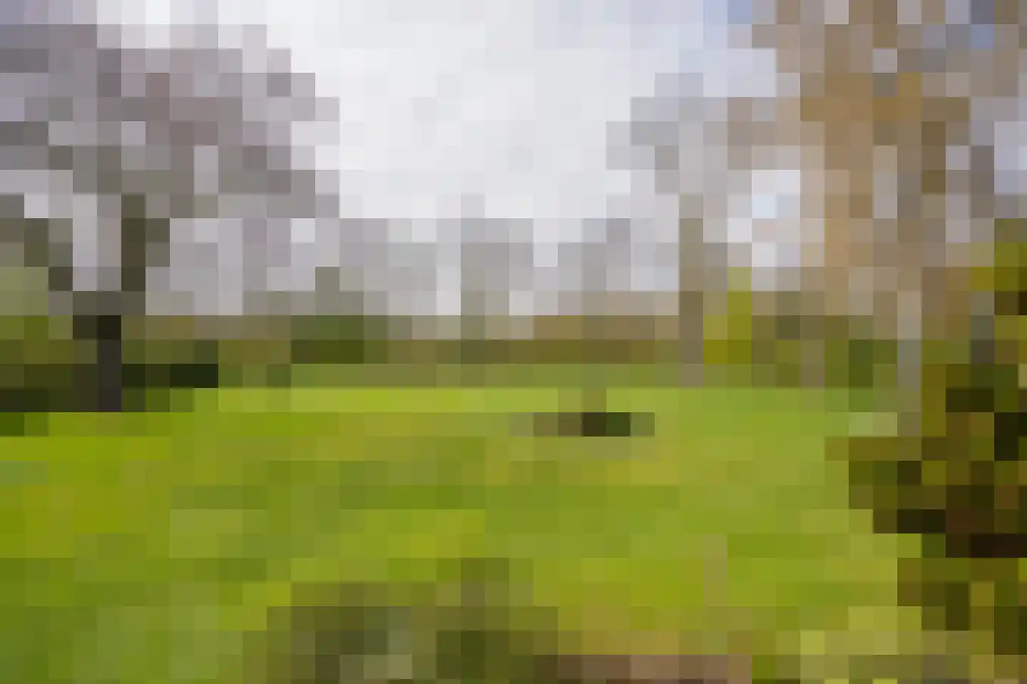 Irenelaan 18 Dalem thumbnail 24