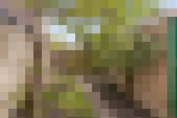 Irenelaan 18 Nieuwkoop thumbnail 11