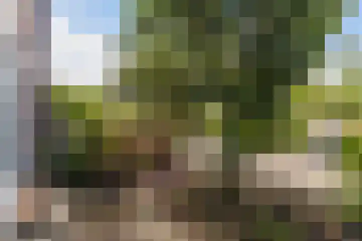 Irenelaan 18 Nieuwkoop thumbnail 31