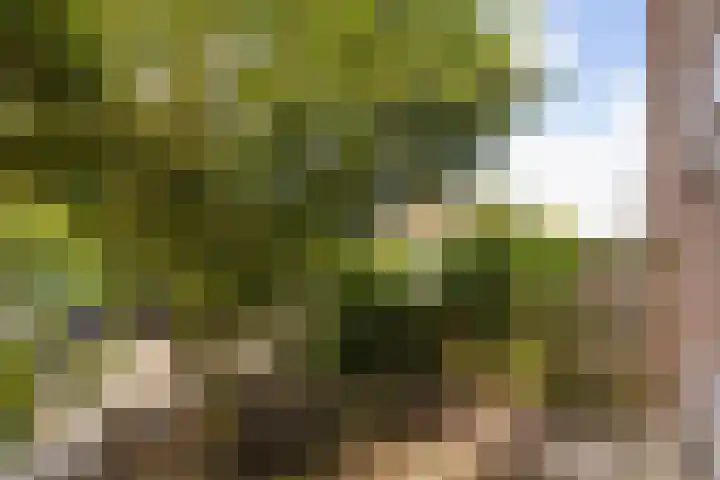Irenelaan 18 Nieuwkoop thumbnail 32